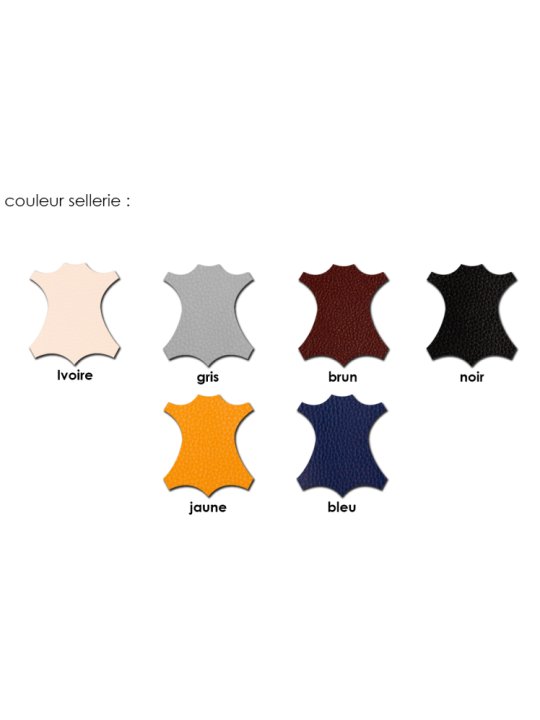 Choix des couleurs de sellerie